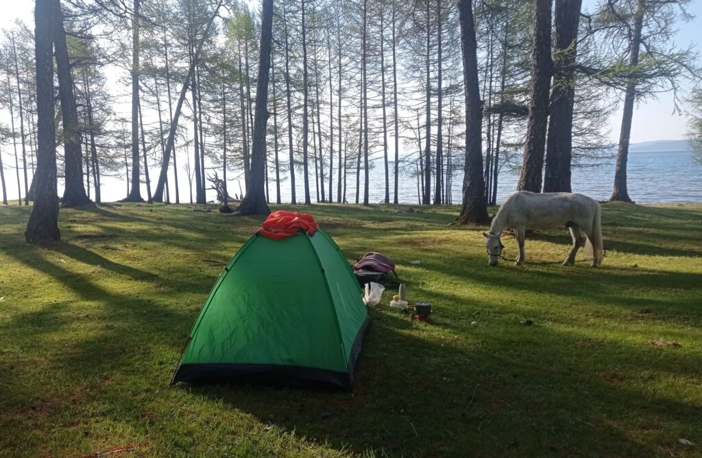 camping spot au lac khovsgol