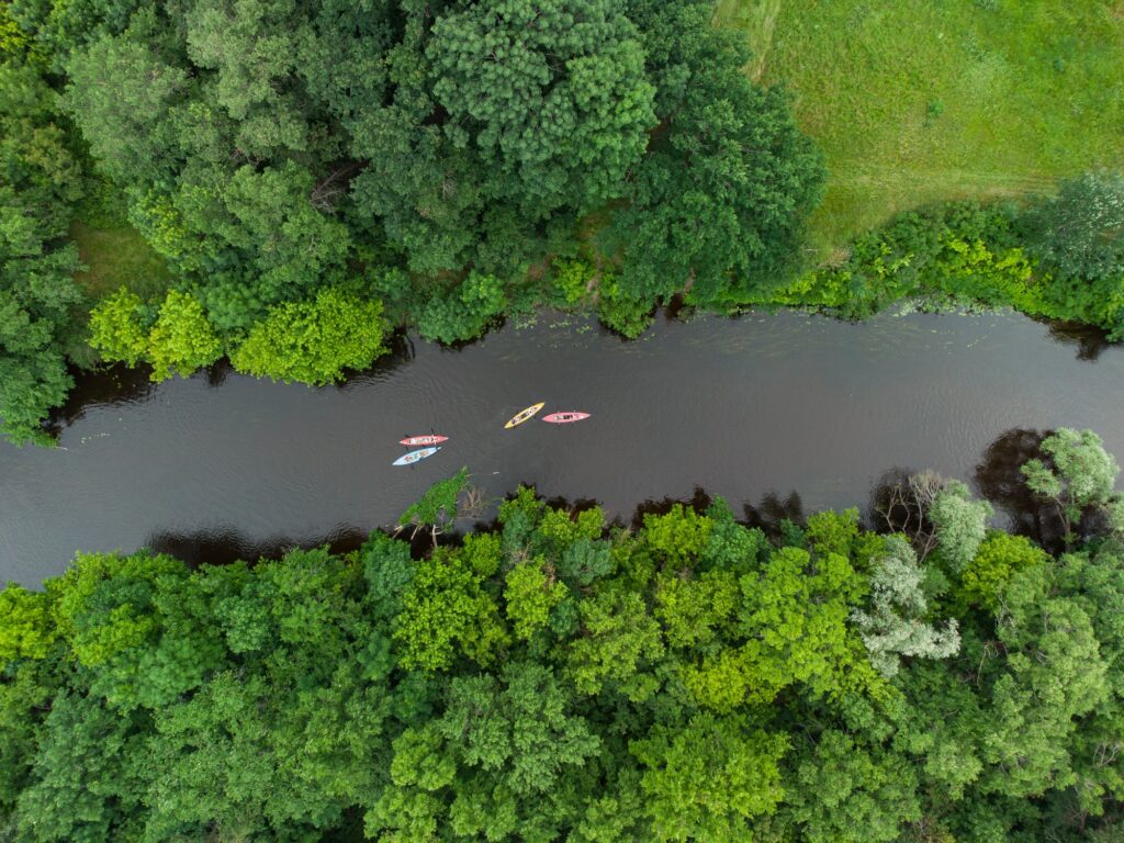 aerial view of a group of kayaks traveling on a forest river on a summer day