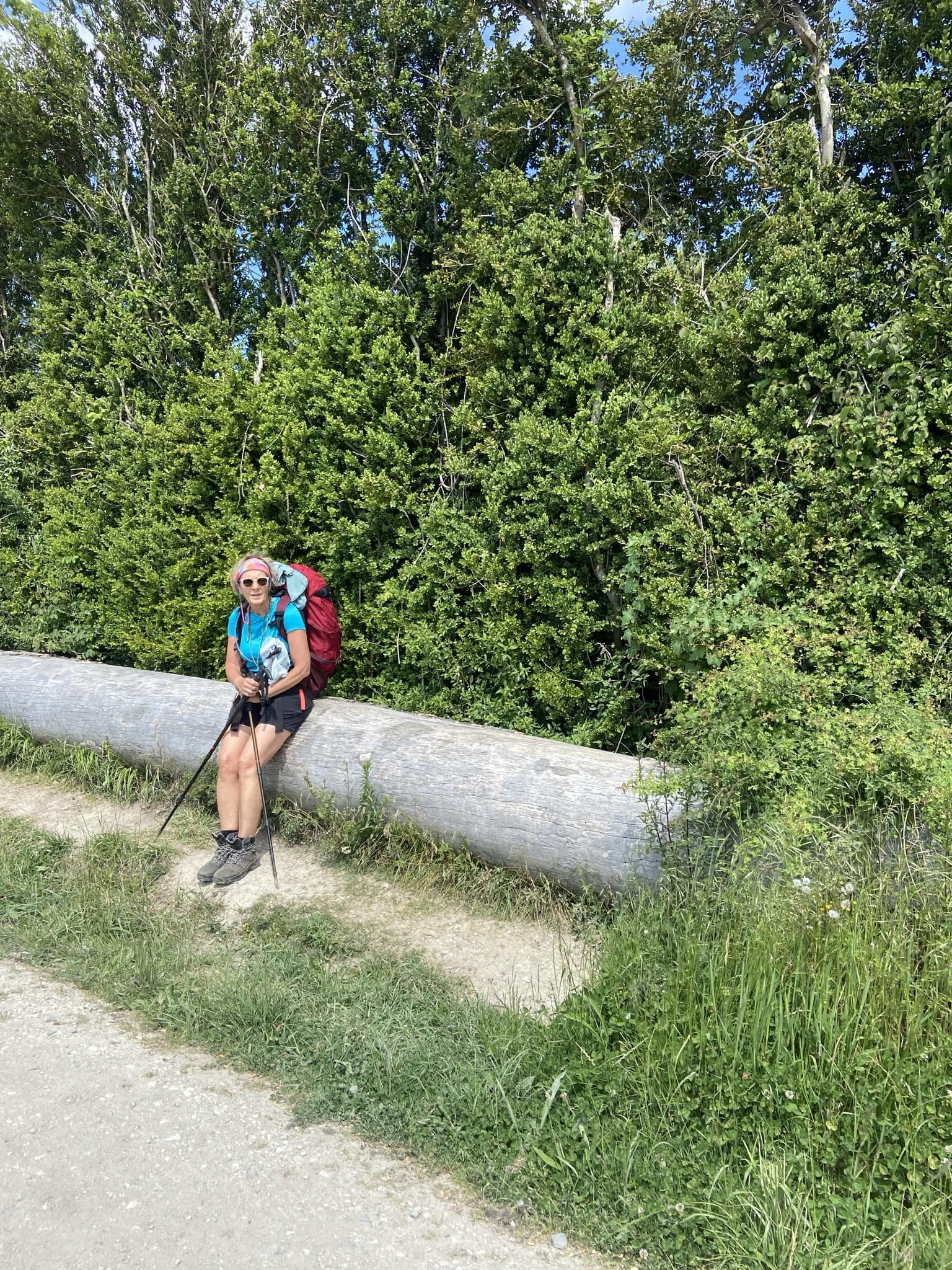 de Bayonne à Pampelune à pied sur le chemin de Compostelle