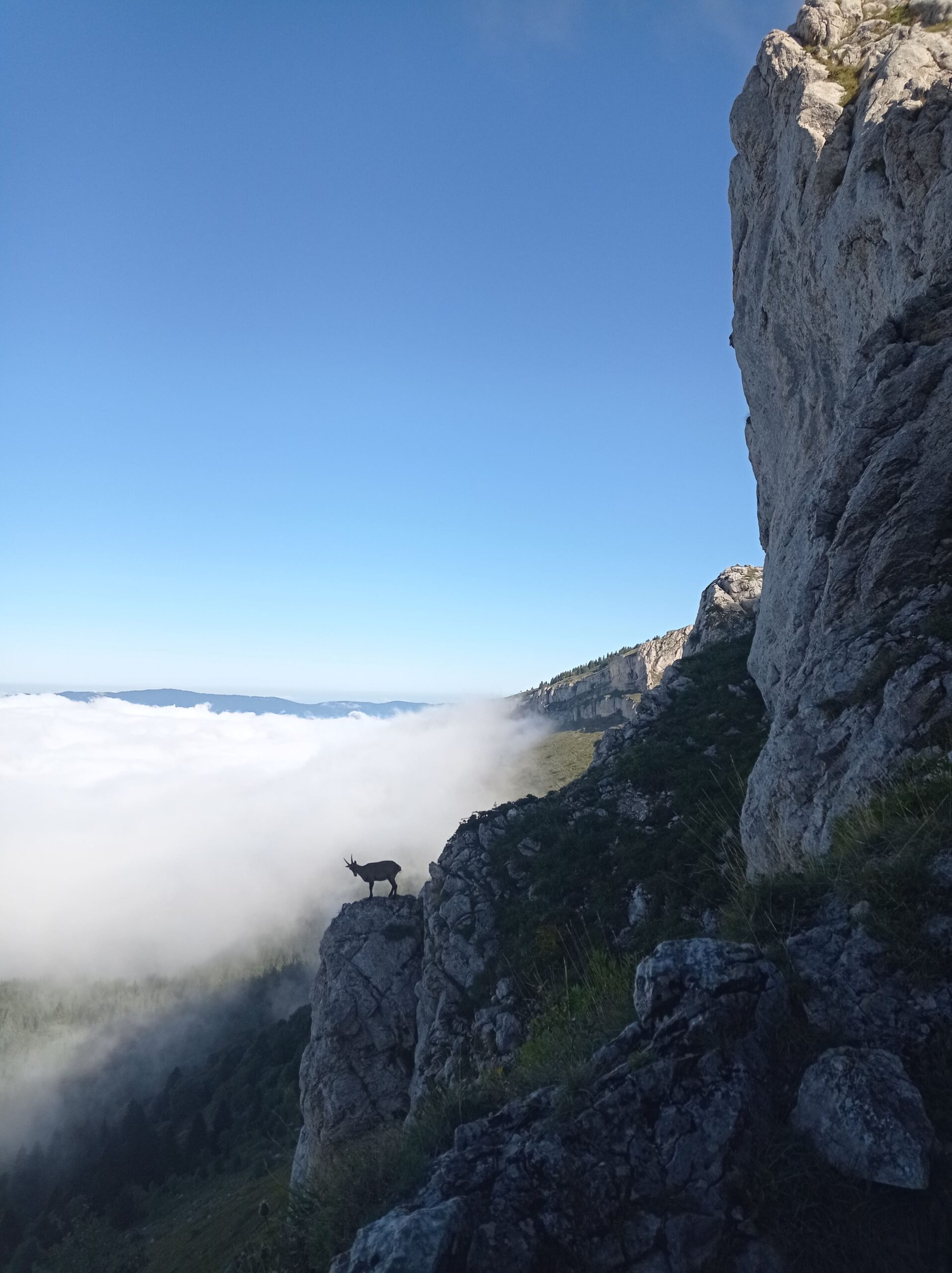 Expédition hivernale dans le Vercors