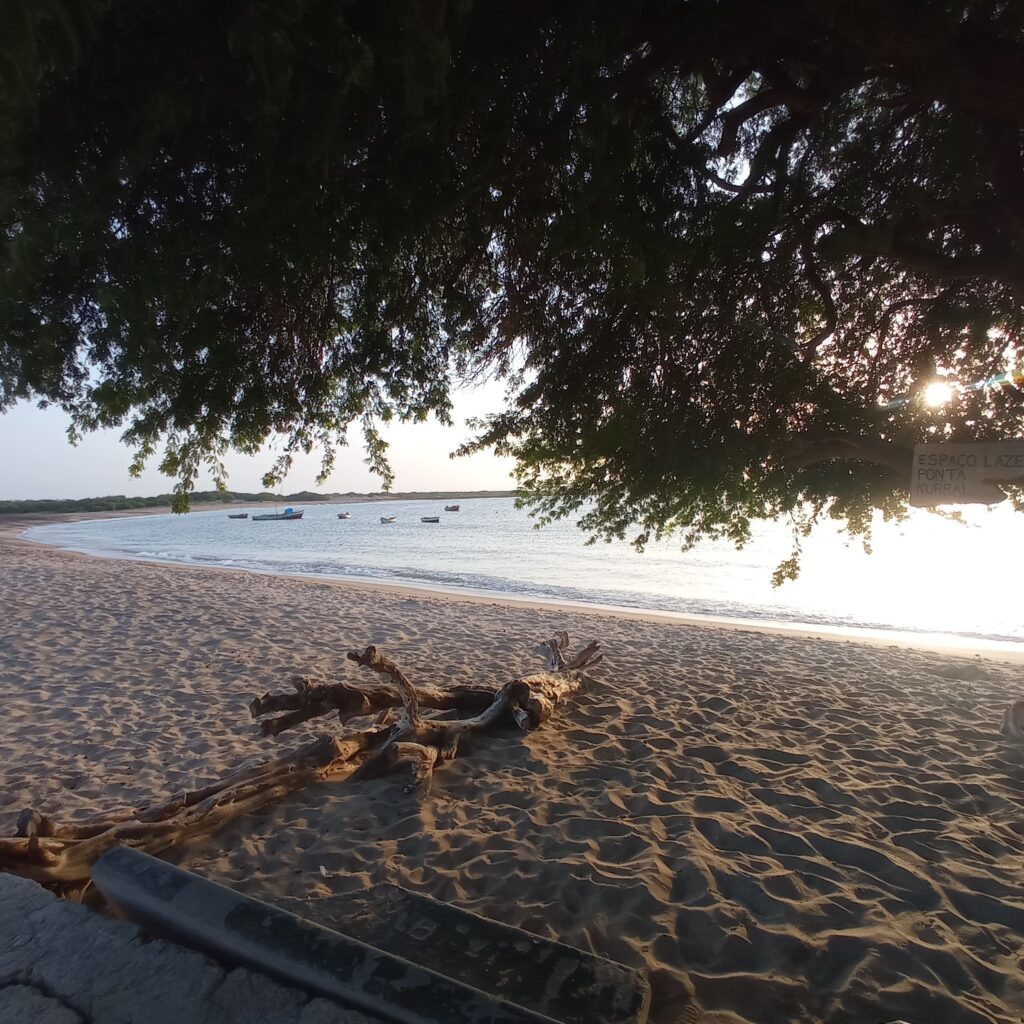 Plage du cap vert